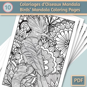 10 coloring birds mandala | Coloring book adult | Coloring book pdf | Coloring sheets printable | Coloring mandala | Coloring Zentangle