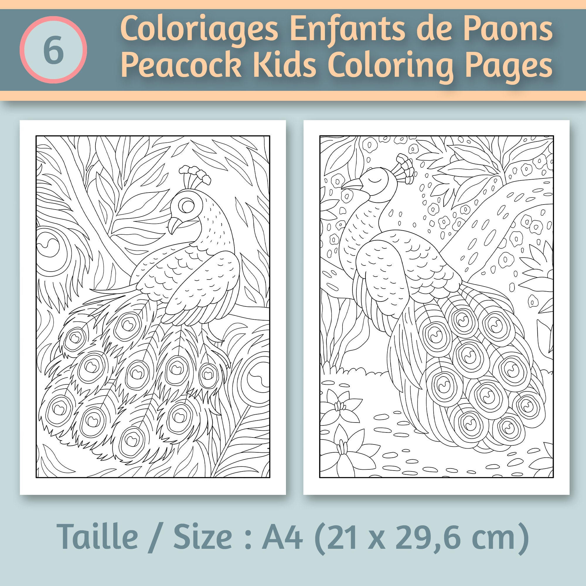 Coloriage de paon à colorier pour enfants - Coloriages de Paons