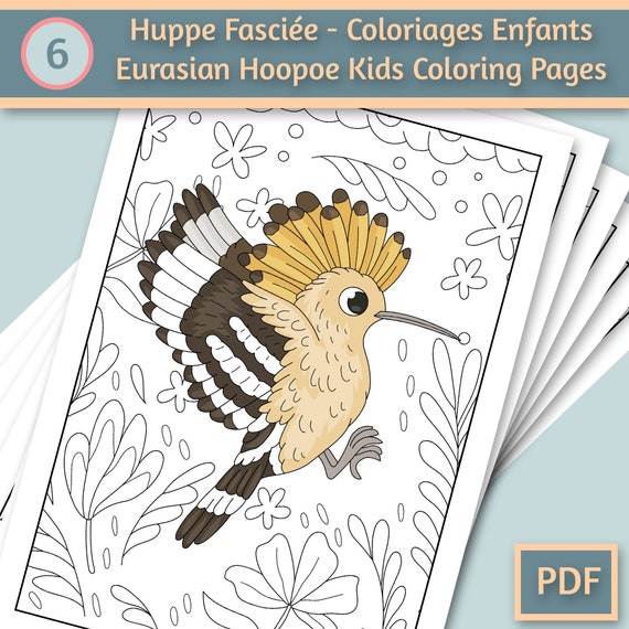 6 Eurasian Hoopoe Birds Coloring Pages for kids Coloring | Etsy