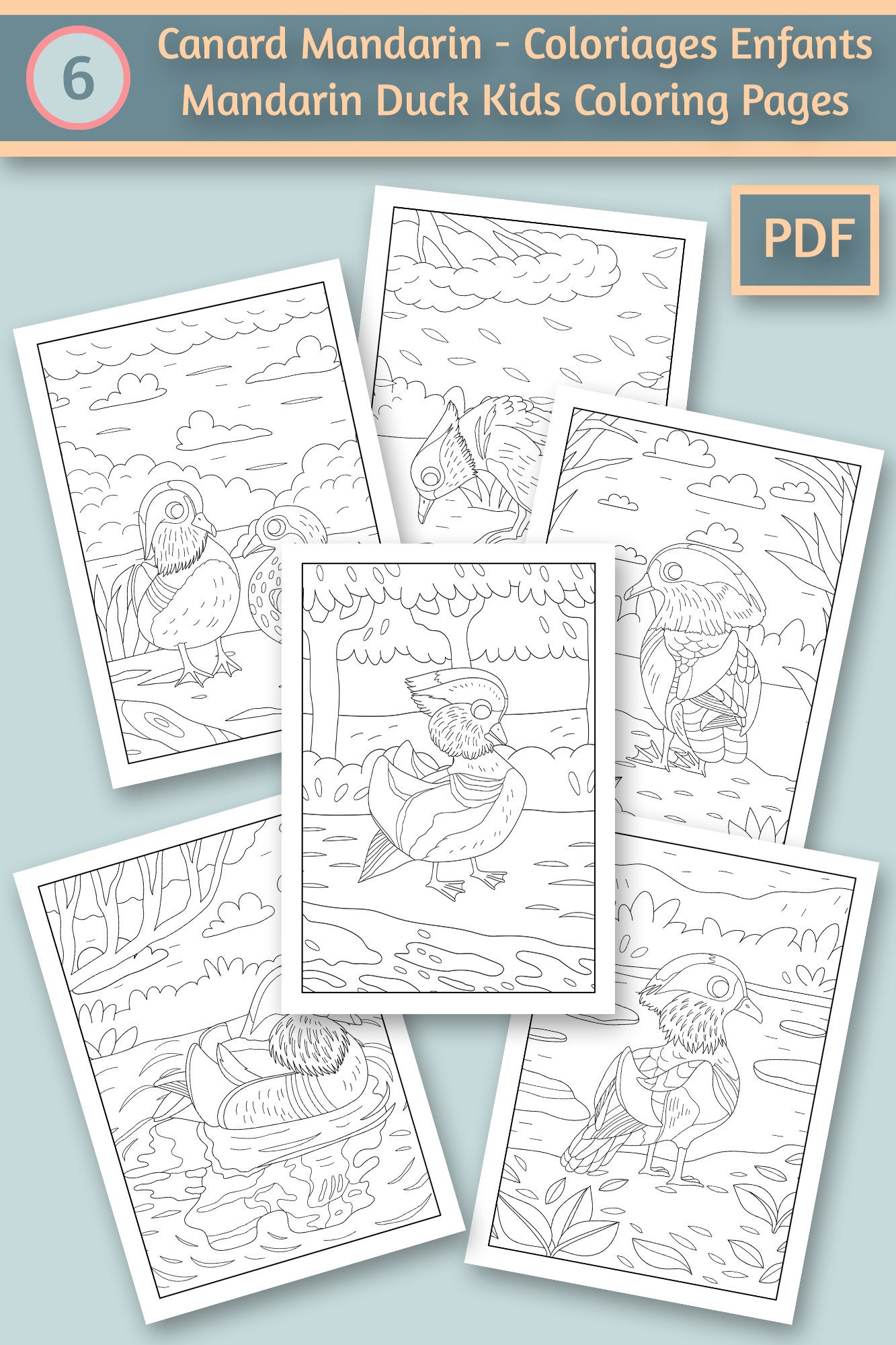 6 Mandarin Duck Birds Coloring Pages for Kids Coloring Book for Kids