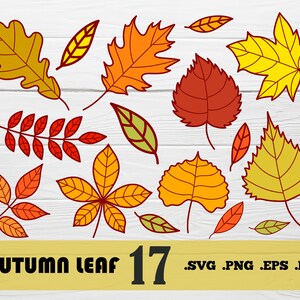 Blatt Svg, Herbst Blätter Svg, Herbst Svg, Blätter Clipart, Maple Leaf Svg, Herbst Blätter Svg, Blätter Datei, Blatt Vektor Herbst Svg, Druck-Datei