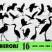 see more listings in the Animals section