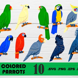 Parrots svg,Parrots SVG, Parrots PNG, Parrots Vector Clipart, Animal Svg, Animals Clipart, Parrots Digital, Parrots SVG,print file,svg file