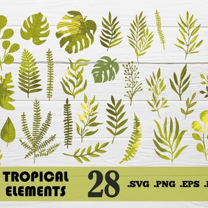 Tropical elements svg,Tropical Leaves Silhouettes, Tropical Leaves SVG Cut Files, Tropical Leaves Bundle, Instant Download,Monstera Leaf,svg