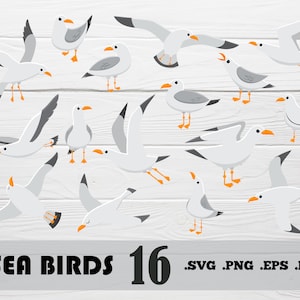 Aves marinas svg,Cartoon seaqull svg,Seagull birds svg,Seagull art png,seagull clipart,birds svg,sea svg,Seagull bird svg,print file,printables