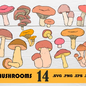 Mushrooms svg,mushrooms Collection,Mushrooms SVG Bundle,Mushrooms png,Mushrooms print file,Mushrooms graphics, print file, svg file,svg