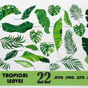 Tropical Leaves Svg Bundle, Tropical Svg, Monstera Svg, Tropical Leaf Svg, Palm Leaves Svg, Palm Branch Svg, Jungle Leaf svg,print file,svg