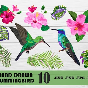 HUMMINGBIRD SVG, bird svg, hummingbird clipart, hummingbird file, hummingbird vector, bird silhouette, hummingbird svg,print file,svg file