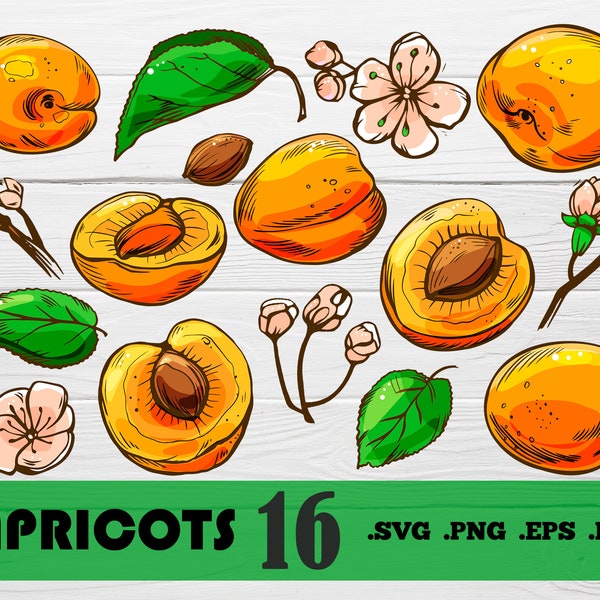 Apricots svg,Set apricots, Peach Svg, Peach Lineart, Apricot Lineart Svg,fruits svg,Peach Monogram SVG,print for t-shirt, print file,svg