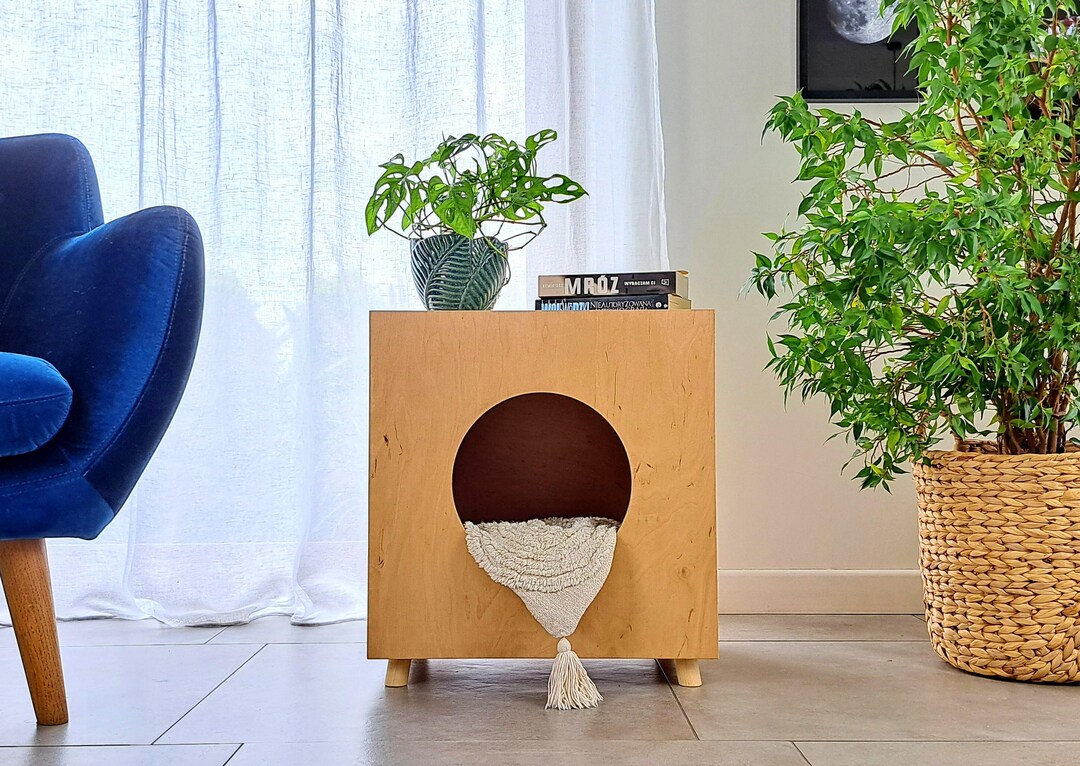 A closer look at Cat Litter Options For Enclosed Home Living