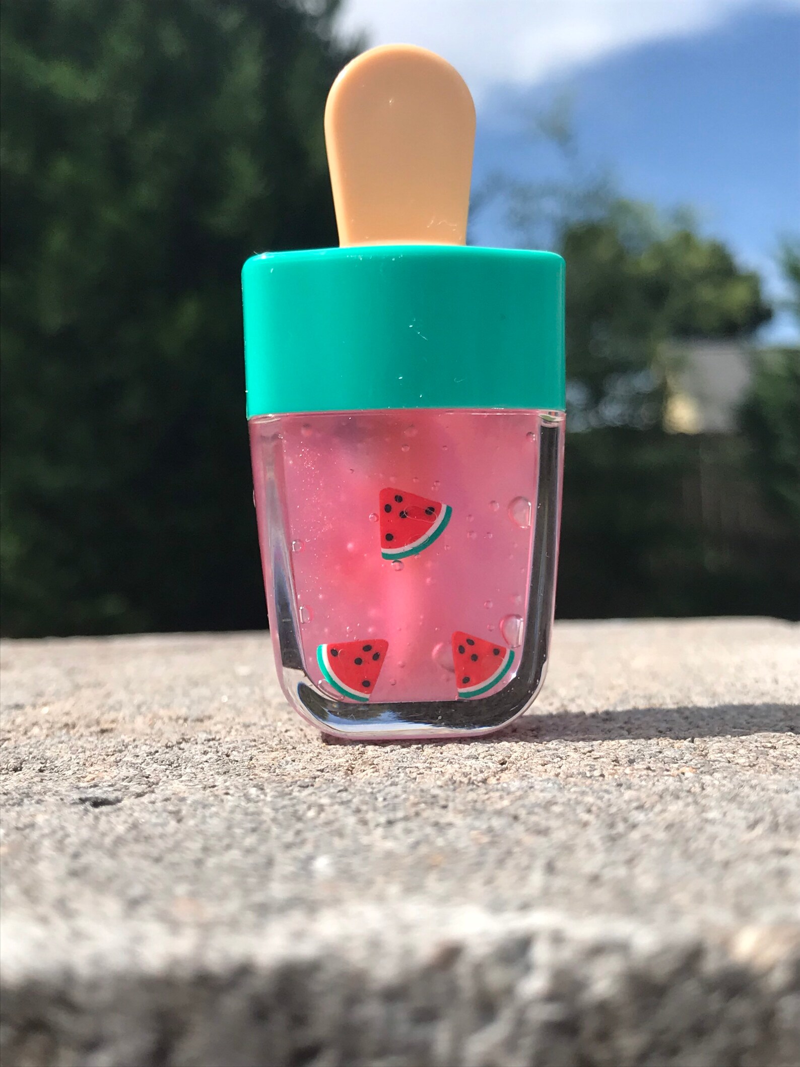 Juicy Watermelon Lip Gloss Etsy