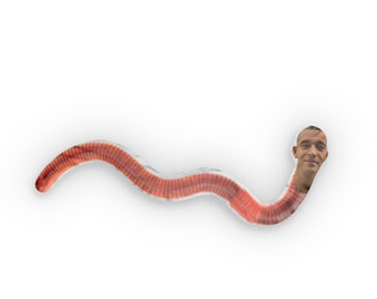 Matty Healy worm pillow