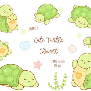 Süße Schildkröte Clipart | Kawaii Schildkröte PNG | Süße Schildkröten Clipart | Swamp Critters | Meerestiere Clipart | Seestern Clipart | Kommerzielle Nutzung