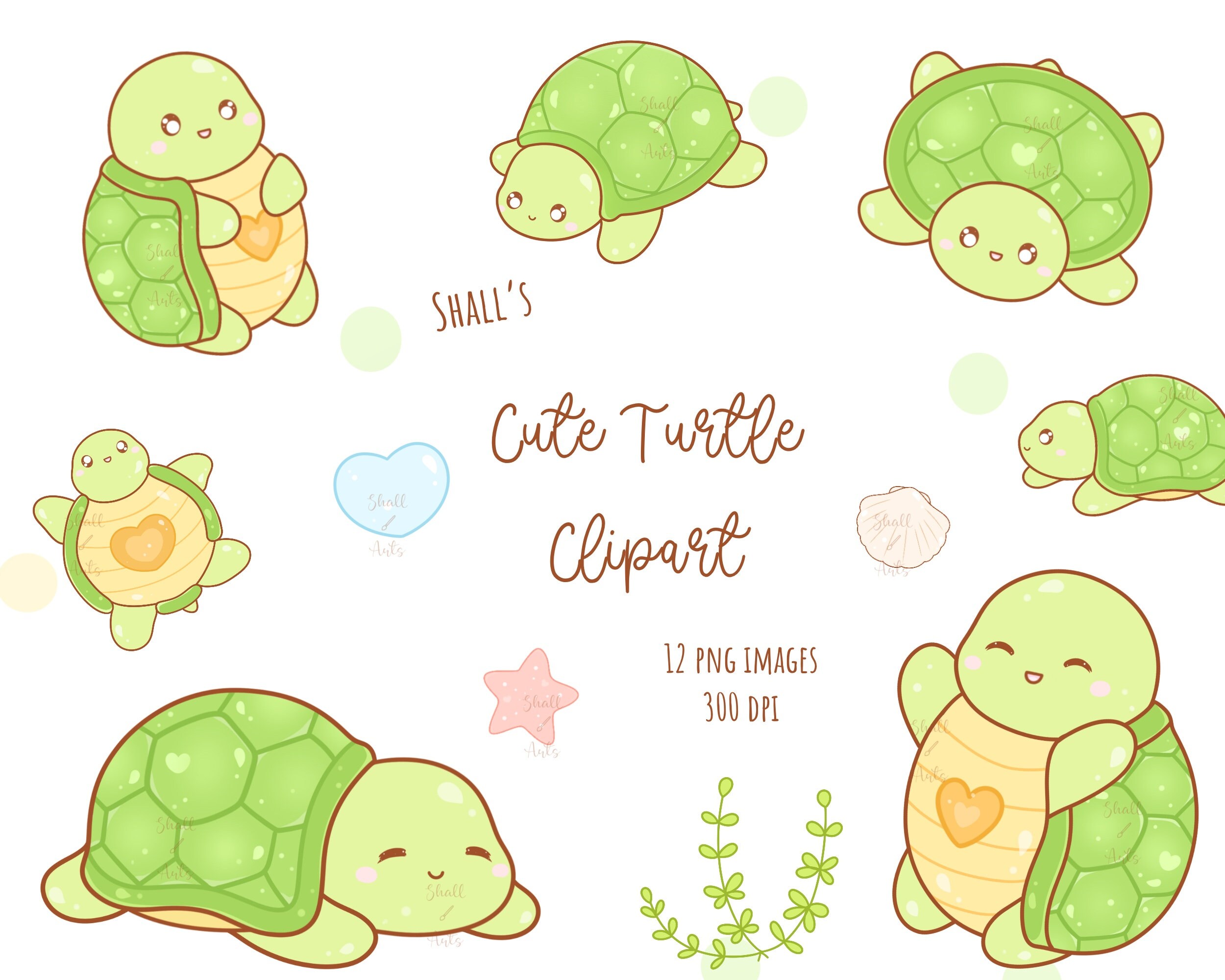 Cute Turtle Clipart Kawaii Turtle PNG Cute Turtles Clipart Etsy UK