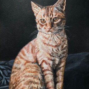 May include: A painting of a tabby cat sitting on a dark blue fabric. The cat has orange and brown stripes and is looking directly at the viewer.