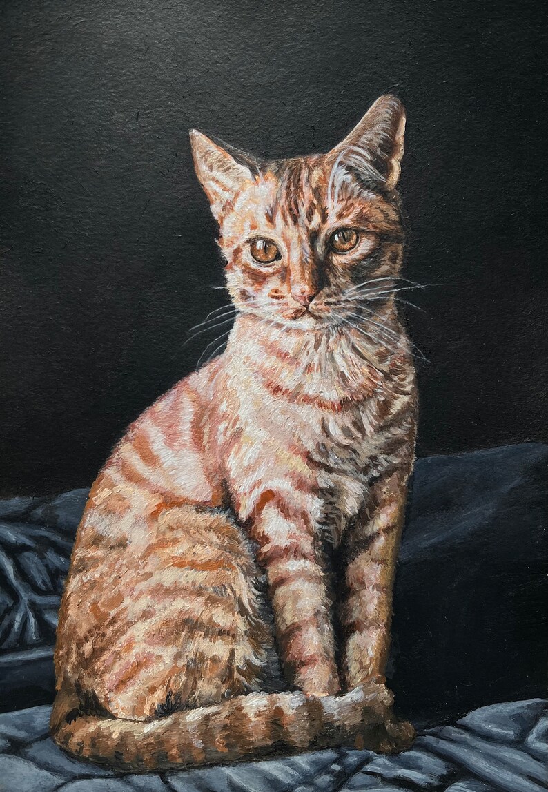 May include: A painting of a tabby cat sitting on a dark blue fabric. The cat has orange and brown stripes and is looking directly at the viewer.