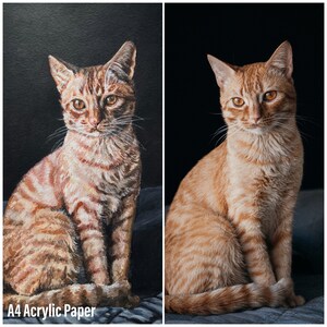May include: A side-by-side comparison of a painting of a tabby cat and a photograph of a tabby cat. The painting is on A4 acrylic paper. Both cats are sitting with their front paws tucked under their bodies.