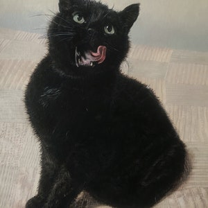 May include: A black cat with green eyes sits on a white and brown patterned surface. The cat has its mouth open and its tongue sticking out.