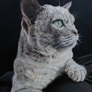May include: A painting of a gray cat with green eyes, looking to the right. The cat is lying down on a black background.