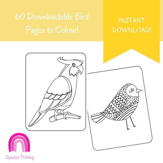 60 Bird Themed Printable Pages
