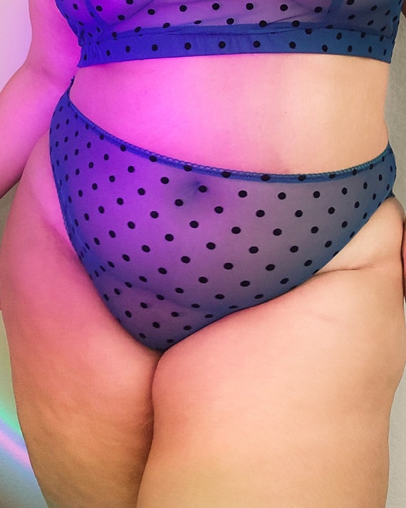 Plus Size Underwear High Waisted Sheer Brief With Velvet Polka Dots. 