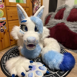 May include: A white and blue furry fursuit head, paws, and tail set. The head has large blue eyes, blue accents, and a light blue muzzle. The paws have blue claws and snowflake details. The tail transitions from white to light blue to dark blue.