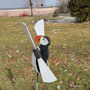 Concerts d&#39;oiseaux