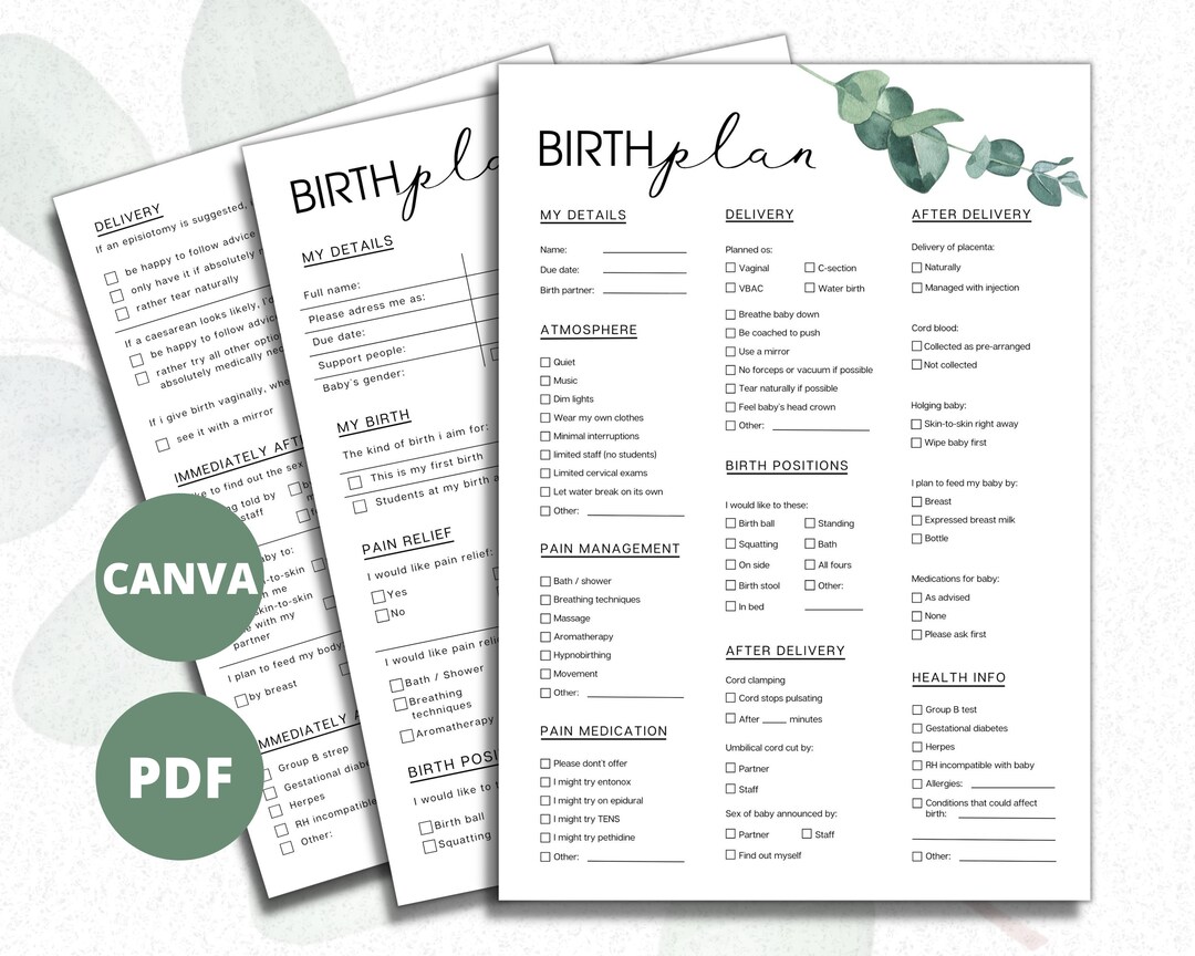 Birth Plan Template PDF Aesthetic Birth Plan 1 and 2 Page - Etsy