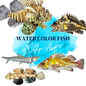 Pacotes digitais PNG de peixes, ilustração em aquarela para download, imagem PNG para decoração de parede, imagens sensuais de peixes, clipes de peixes_09
