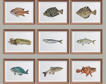 PRINTABLE Fish Watercolor Print Set Of 9, Fish Painting, Small picture frame Gift Fishing Wall Art INSTANT DOWNLOAD_02