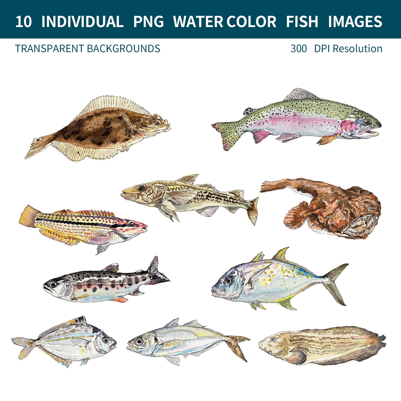 PNG Digital Bundles Fish, Downloadable Water Color Illustration, PNG ...