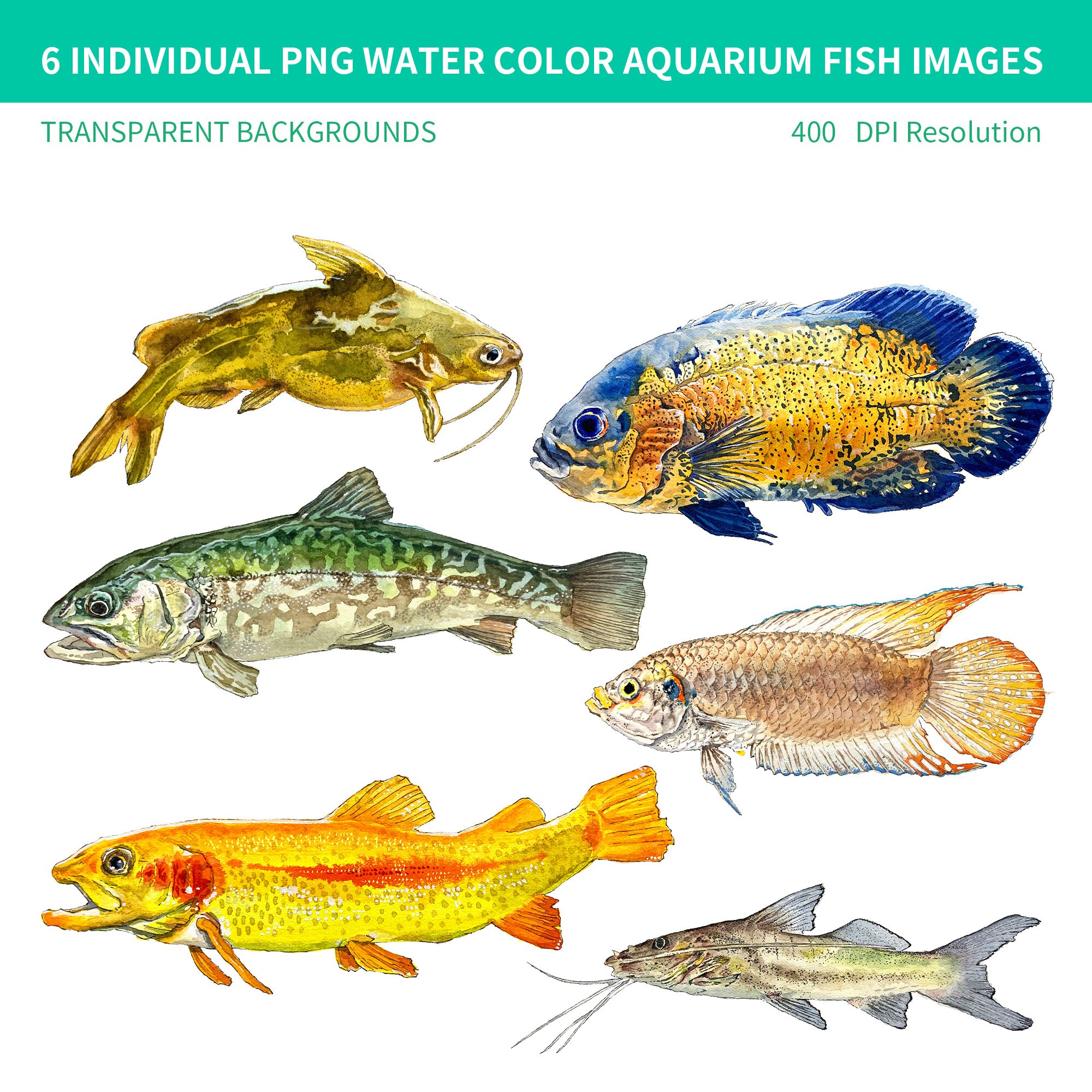 PNG Digital Bundles Aquarium Fish, Downloadable Water Color ...