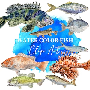 PNG Digital Bundles Fish, Downloadable Water color Illustration, Wall Decor, High Quality PNG Images, DIY Projects, fishing Clip Art_14