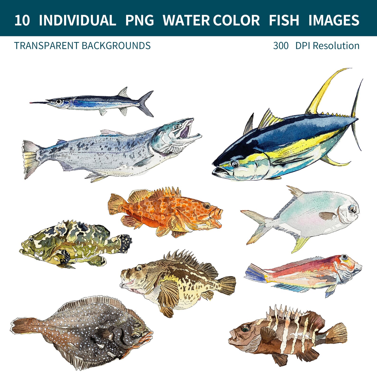 PNG Digital Bundles Fish, Downloadable Water Color Illustration, PNG ...