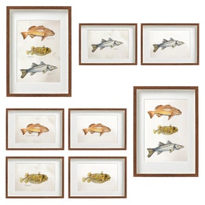 DRUCKBARE Fisch Aquarell Druck, Ozean Fisch, Vintage Poster, Fisch Malerei, schöne Fluss Fisch Wandkunst INSTANT DOWNLOAD_11