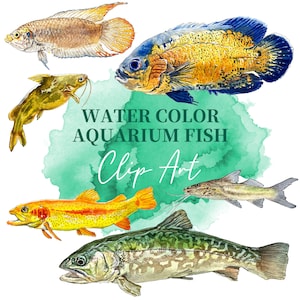 PNG デジタル バンドル 水族館の魚、ダウンロード可能な水彩イラスト、壁の装飾用の PNG 画像、官能的な魚の写真、魚のクリップ アート_12