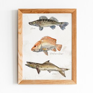 PRINTABLE Fish Watercolor Print, Small frame Only, Vintage Poster, Fish Painting, Beautiful Fish Wall Art INSTANT DOWNLOAD_07