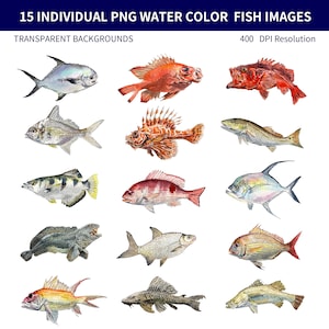 PNG Digital Bundles Peixe, Ilustração de cor de água para download, Imagem PNG para decoração de parede, Peixe bonito, Clip Art de peixe_BEST 01