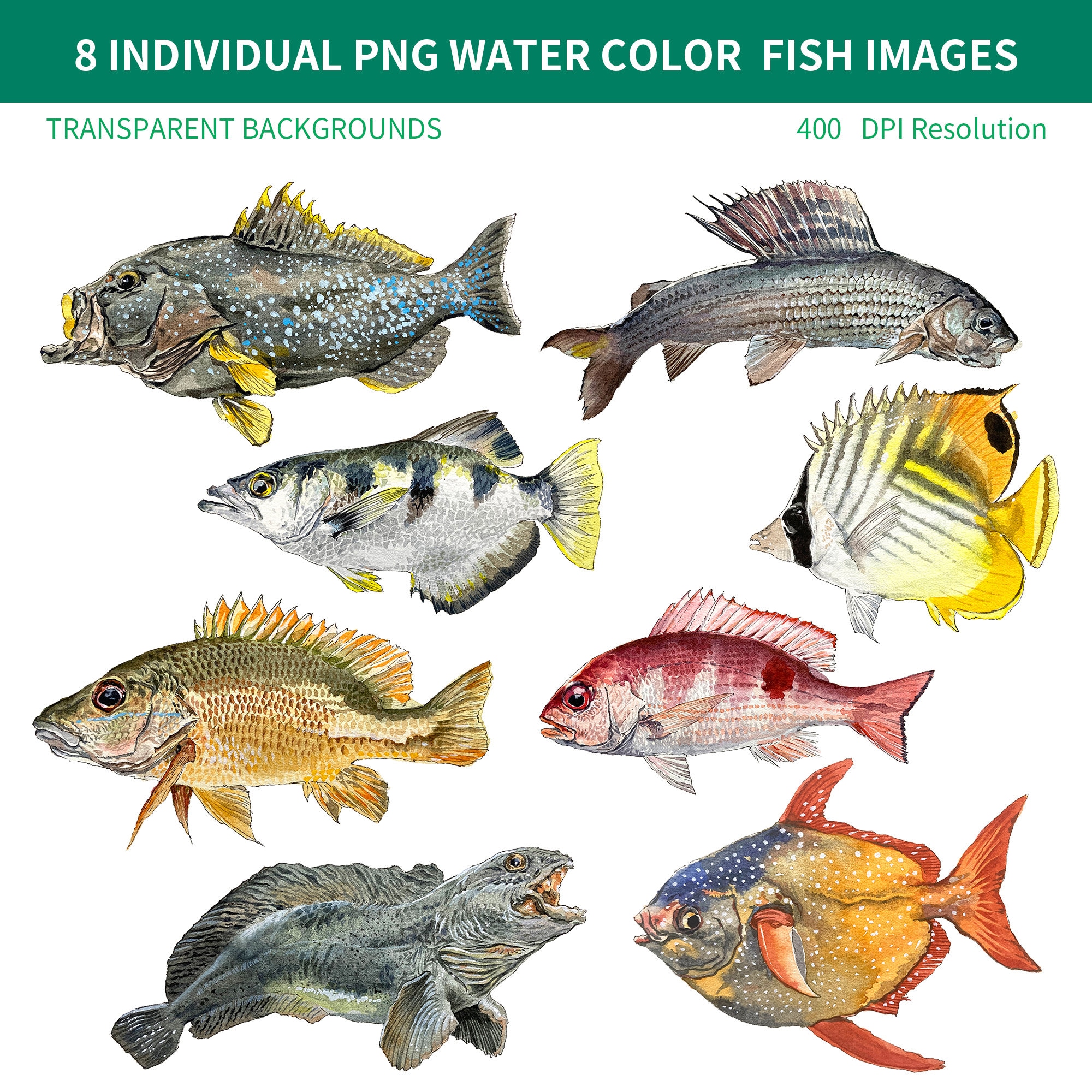 PNG Digital Bundles Fish, Downloadable Water Color Illustration, PNG ...