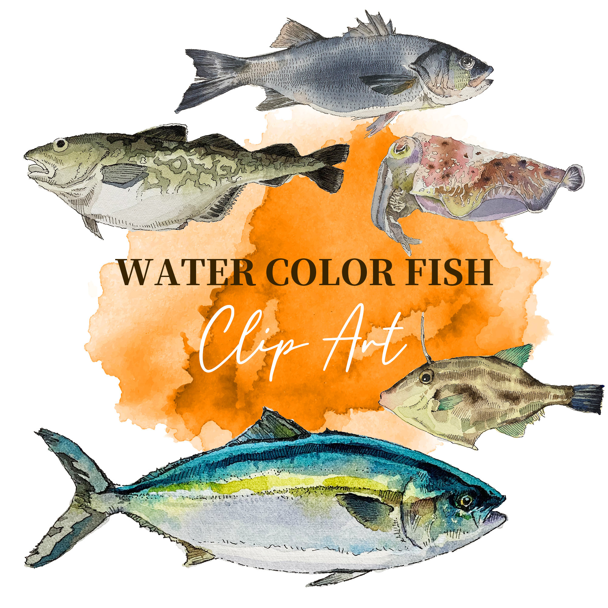 PNG Digital Bundles Fish, Downloadable Water Color Illustration, PNG ...