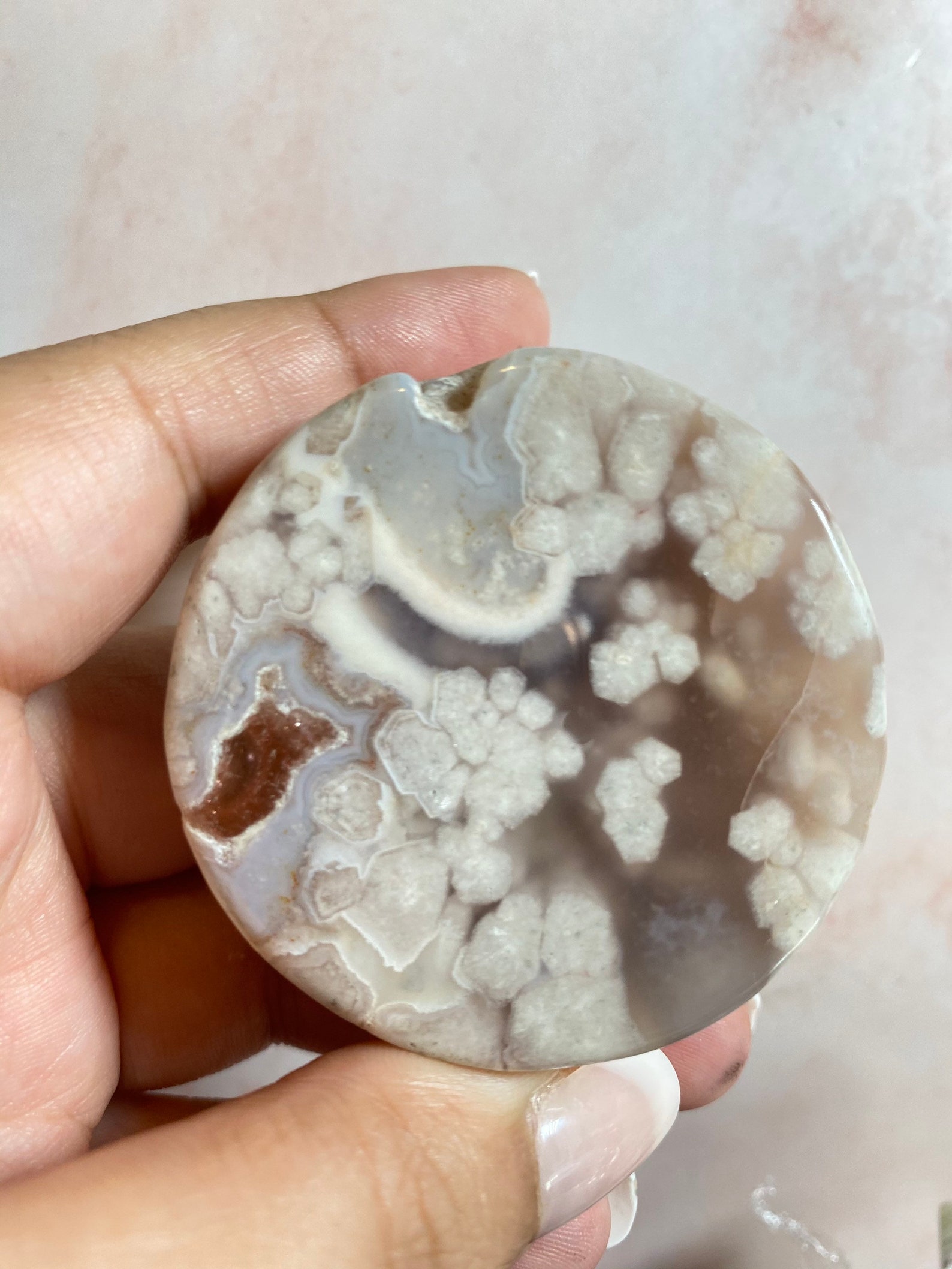Small Flower Agate Disk Flower Agate Slab Flower Agate Etsy