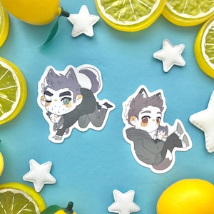 Sterek Sticker Fox Stiles Wolf Derek Teen Wolf Stiles Stilinski Derek Hale Vinyl Sticker