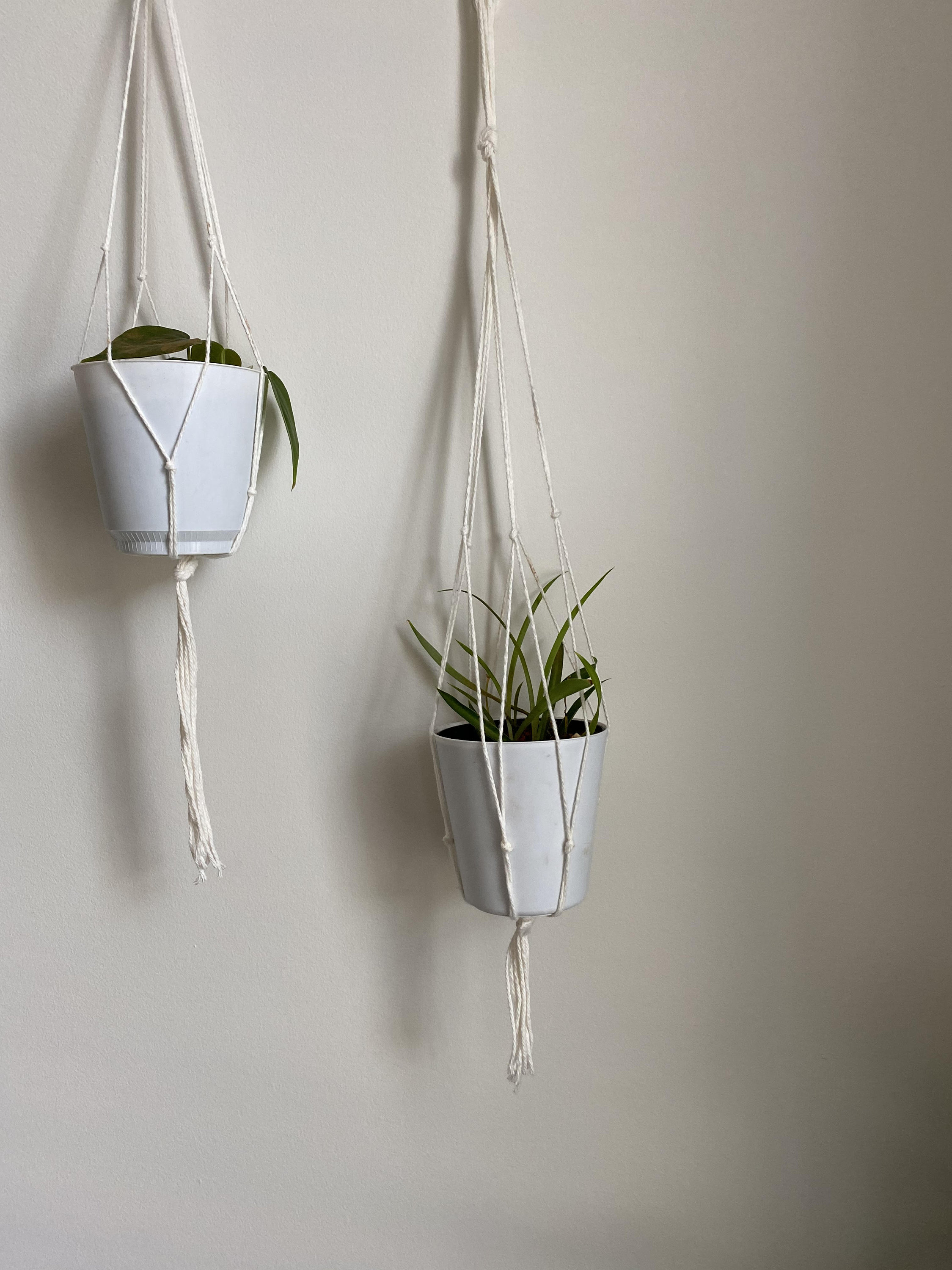 Hanging Plant Holder Etsy