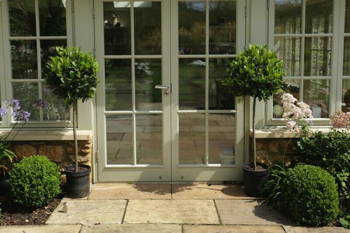 Two Standard Bay Trees Home Front Door Pathway Plant Decor Etsy UK