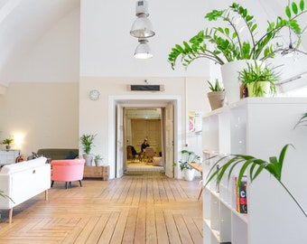 Zoom Virtual Backgrounds | Backdrop | Office Background | Microsoft Teams | Facebook | WebEx | Skype | Google Meet