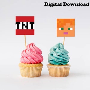 May include: Two cupcakes decorated with pink and blue frosting. A red and black Minecraft TNT block topper is on the pink cupcake and a Minecraft character topper is on the blue cupcake.