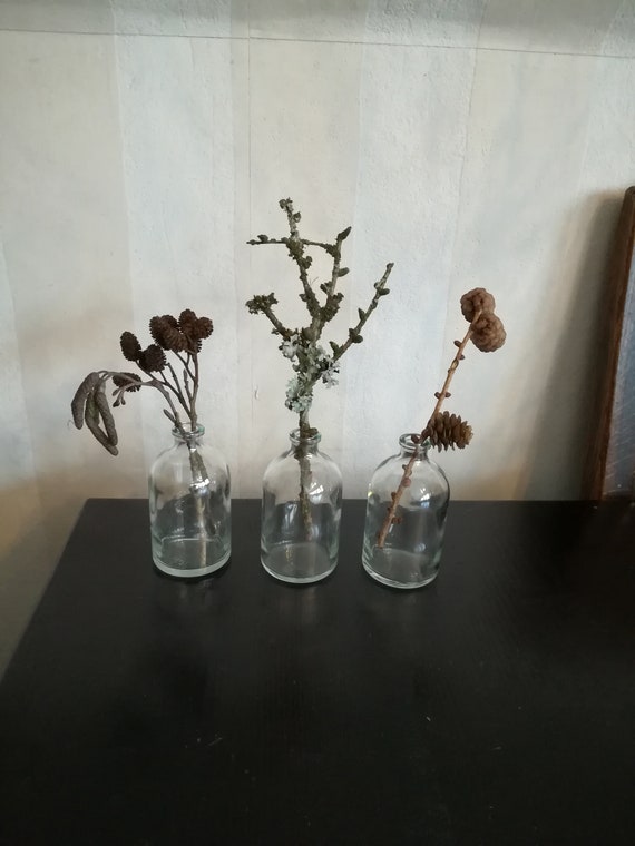3erSet Glasvasen/Medizinflaschen Glasflaschen+ Naturzweige