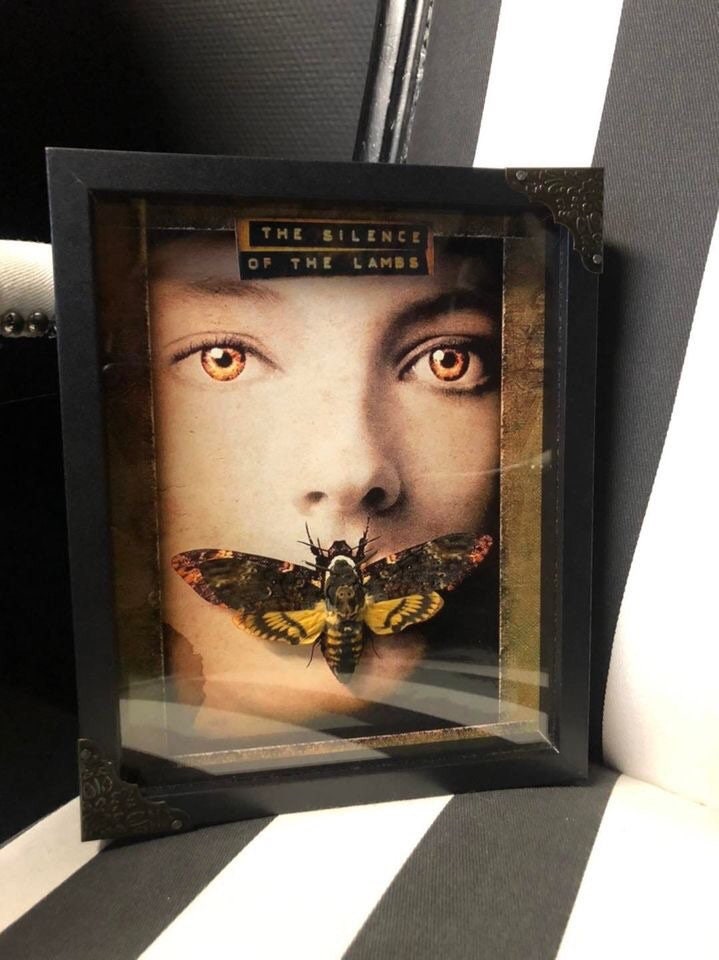 Cadre Véritable Papillon Sphynx Tête de Mort