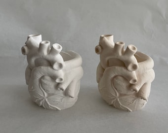 HEART VASE - heart vase - heart vessel - anatomic heart - minimal decoration - container - flower vase - female body - pen holder - organ