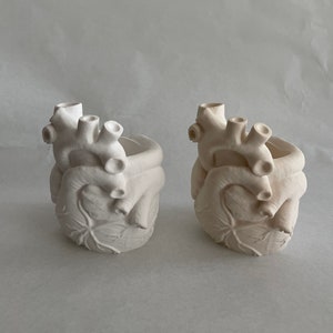 HEART VASE - heart vase - heart vessel - anatomic heart - minimal decoration - container - flower vase - female body - pen holder - organ